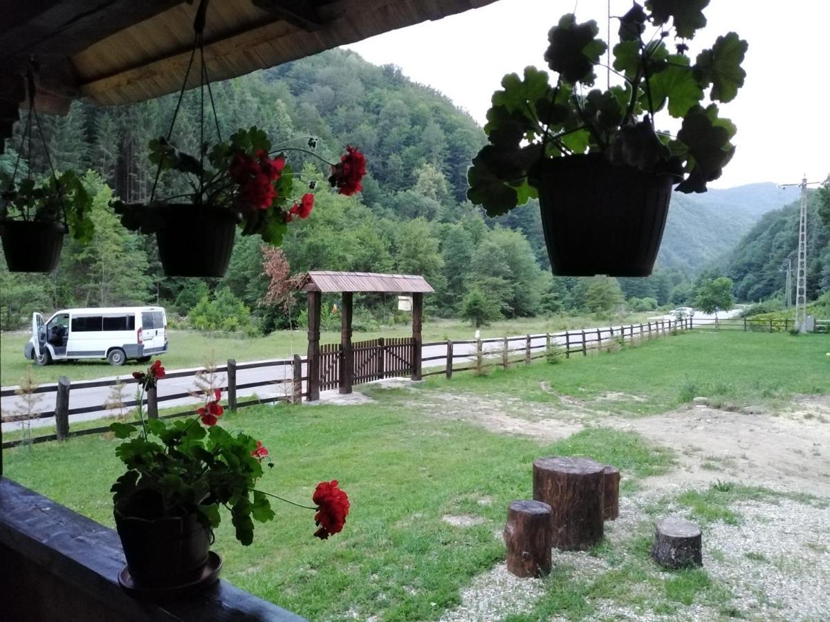 فيلا Casuta Din Valea Regilor Gradistea de Munte المظهر الخارجي الصورة