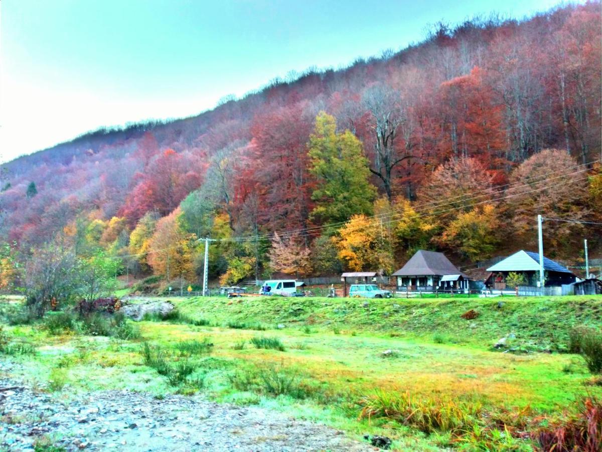 فيلا Casuta Din Valea Regilor Gradistea de Munte المظهر الخارجي الصورة
